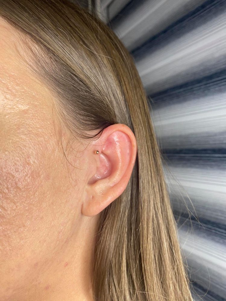 Kulak Piercing Kombine